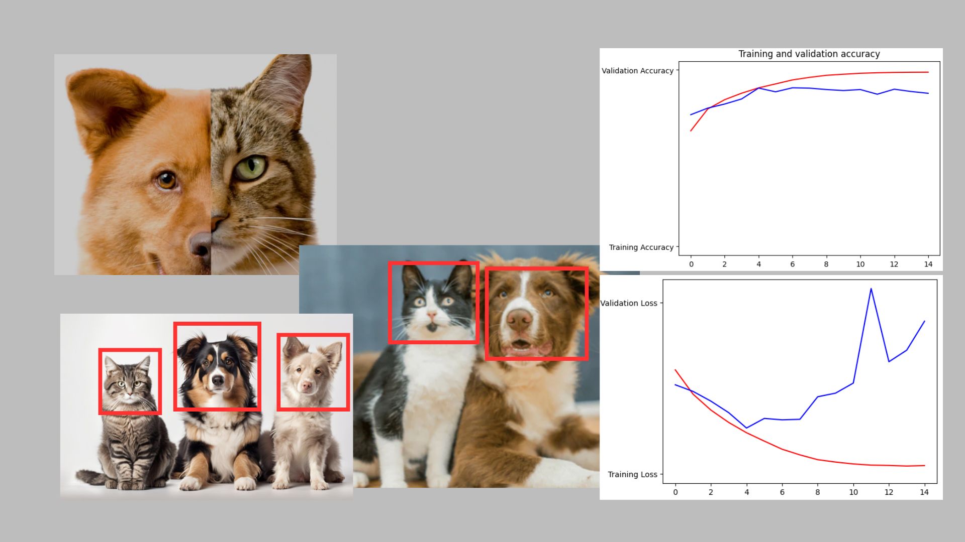 Implement Convolutional Neural Network